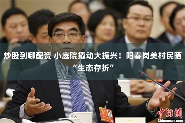 炒股到哪配资 小庭院撬动大振兴！阳春岗美村民晒“生态存折”