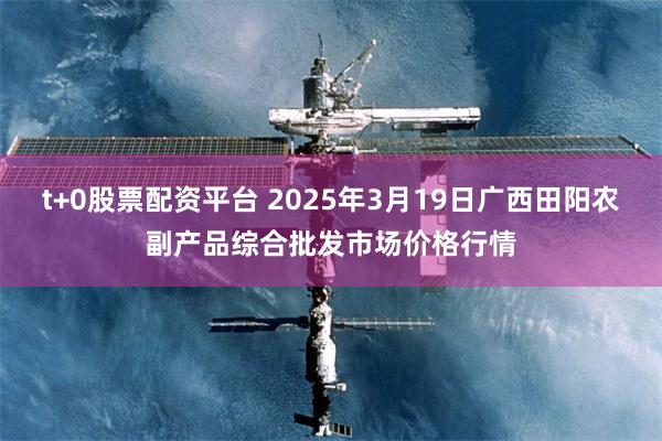 t+0股票配资平台 2025年3月19日广西田阳农副产品综合批发市场价格行情