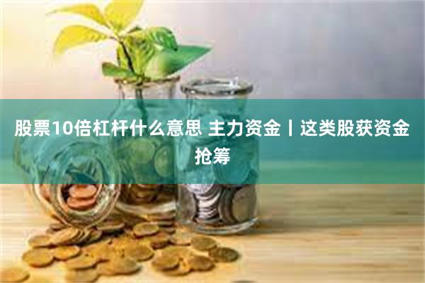股票10倍杠杆什么意思 主力资金丨这类股获资金抢筹