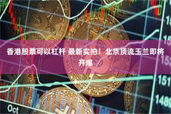 香港股票可以杠杆 最新实拍！北京顶流玉兰即将开爆