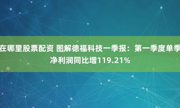 在哪里股票配资 图解德福科技一季报：第一季度单季净利润同比增119.21%