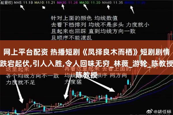 网上平台配资 热播短剧《凤择良木而栖》短剧剧情跌宕起伏,引人入胜,令人回味无穷_林薇_游轮_陈教授