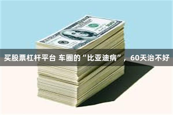 买股票杠杆平台 车圈的“比亚迪病”，60天治不好