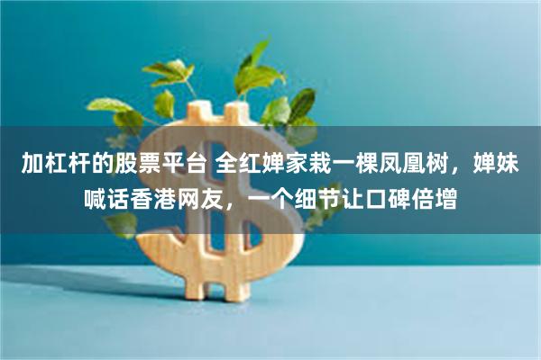 加杠杆的股票平台 全红婵家栽一棵凤凰树，婵妹喊话香港网友，一个细节让口碑倍增
