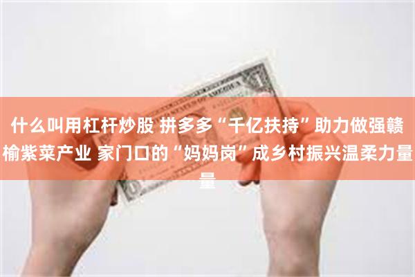 什么叫用杠杆炒股 拼多多“千亿扶持”助力做强赣榆紫菜产业 家门口的“妈妈岗”成乡村振兴温柔力量