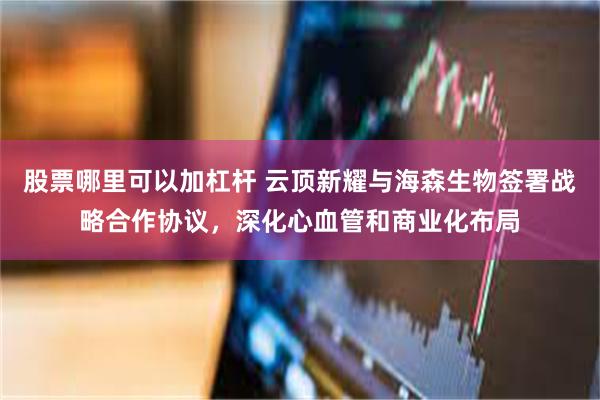 股票哪里可以加杠杆 云顶新耀与海森生物签署战略合作协议，深化心血管和商业化布局