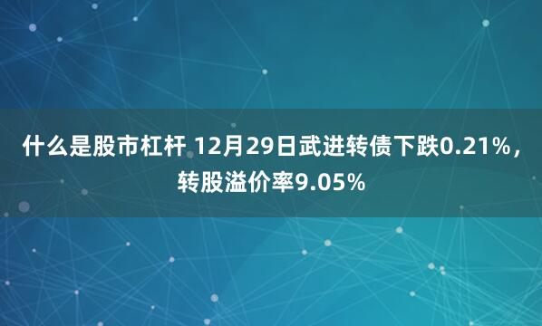 什么是股市杠杆 12月29日武进转债下跌0.21%，转股溢价率9.05%